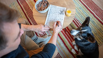 Ristikoiden renessanssi – ratkominen hurjassa kasvussa Suomessa ja maailmalla