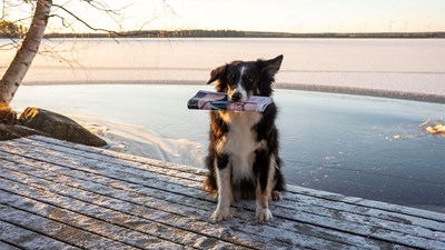 Kokosimme yhteen vuoden 2025 luetuimmat jutut. Joukkoon mahtui niin huikeita KMT-tuloksia, Editkilpailun käänteitä, kuukauden parhaita aikkarimainoksia kuin kiinnostavia henkilöhaastattelujakin. 