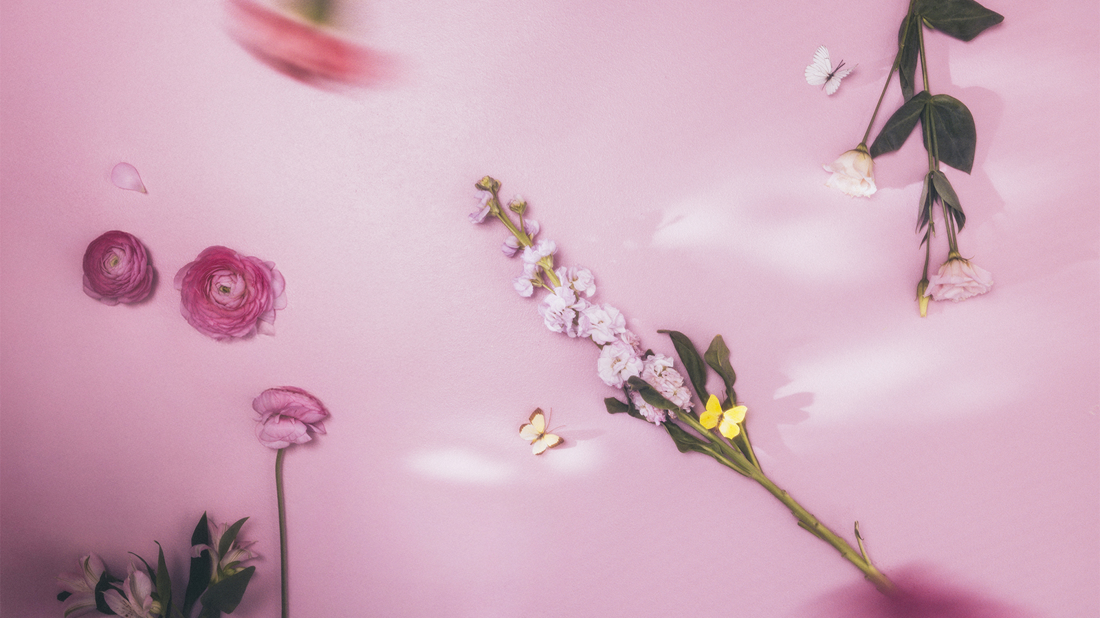 Mitä hyvää aikkareissa tapahtuu juuri nyt? Kokosimme tähän juttuun ilahduttavia ja hyviä uutisia alalta. 