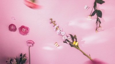 Onnistunut printtipanostus, somealgoritmien kukistus ja aikkareiden maailmanvalloitus – 7 hyvää uutista aikkareista